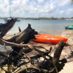 Pelican Sport Pulse 100X With Paddle Kayak 21 Pelican Sport Pulse 100X With Paddle Kayak -Sports-Rowing-Pelican Sport KOS10P102 00 LS4